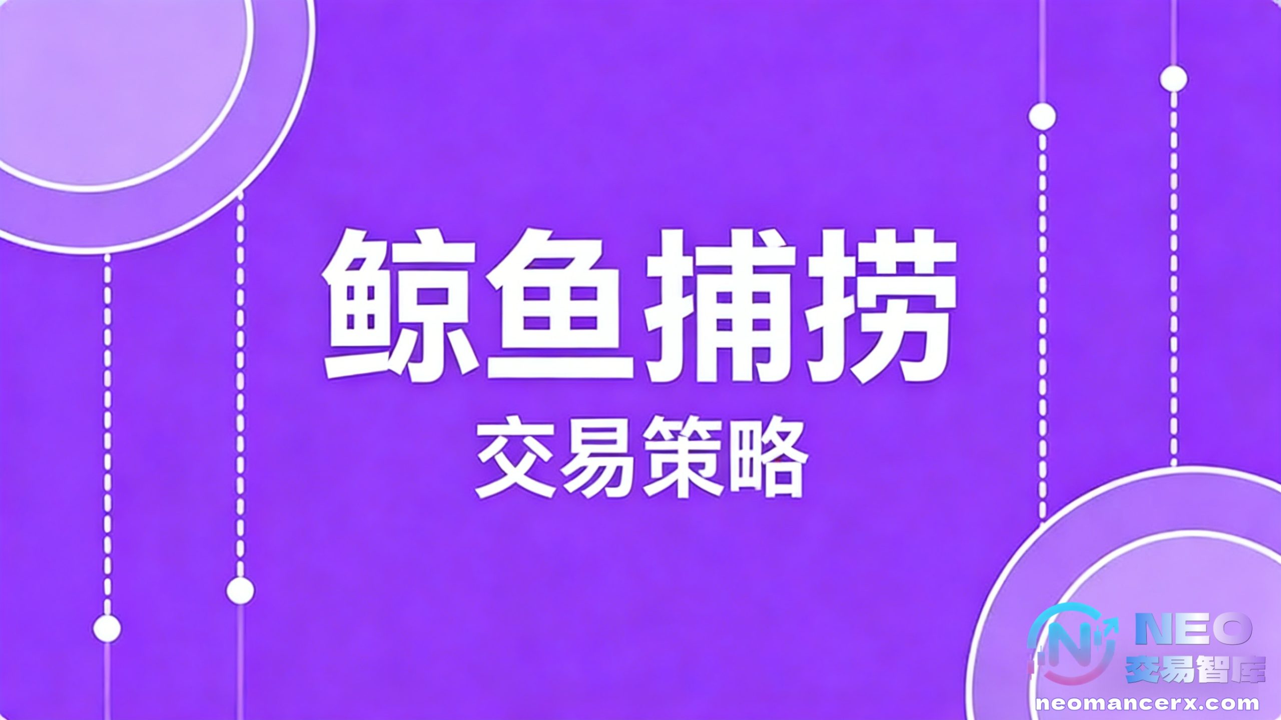 鲸鱼捕捞交易策略详解